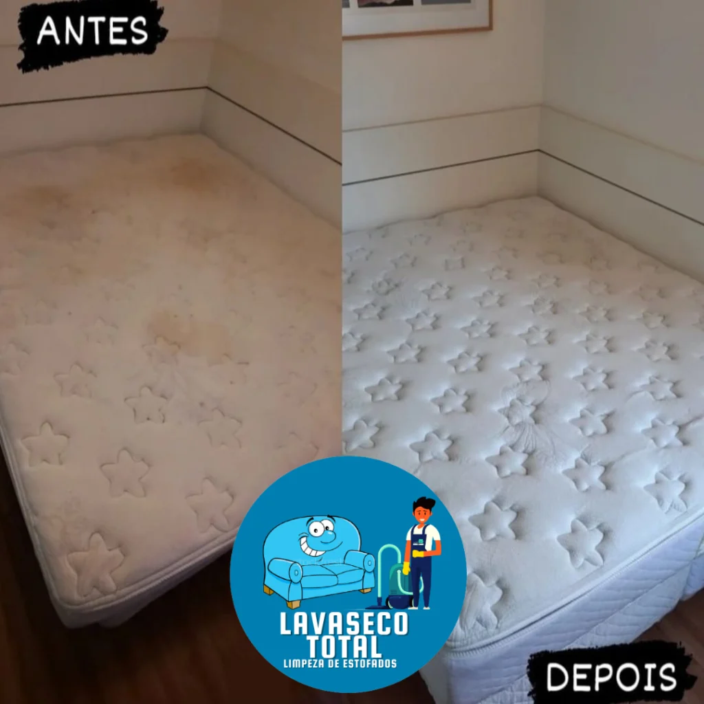 limpeza de sofa em goiania